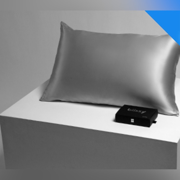 Blissy 100% Mulberry 22 Momme Silk Pillowcase-Silver Quantity-